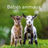 Calendrier Bébés animaux