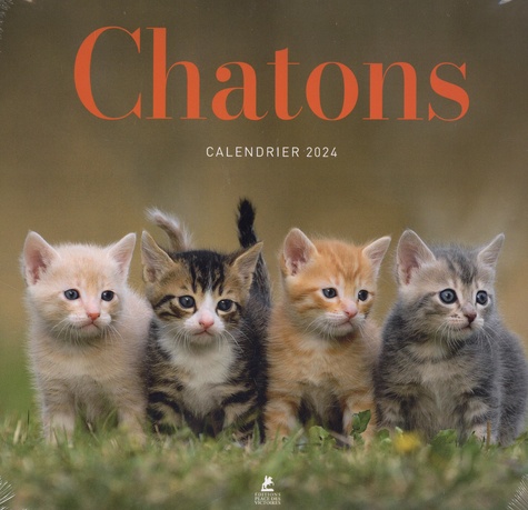 Calendrier chatons  Edition 2024