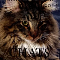 Calendrier Chats 2013