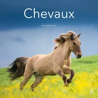 Calendrier Chevaux