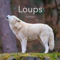 Calendrier Loups