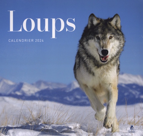 Calendrier loups  Edition 2024