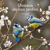 Calendrier Oiseaux de nos jardins