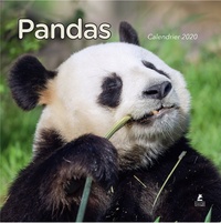 Ebook allemand téléchargement gratuit Calendrier Pandas 9782809917222 par Place des Victoires DJVU