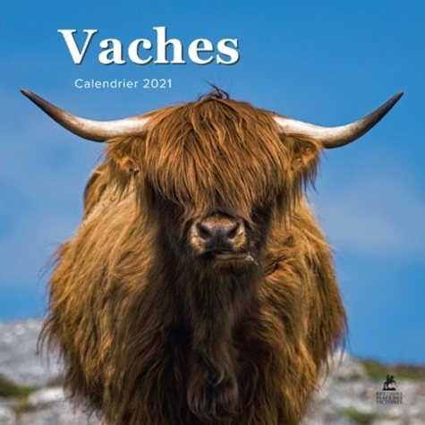 Vaches calendrier  Edition 2021