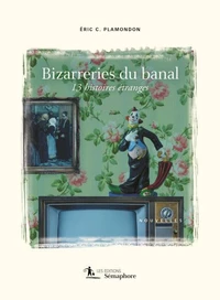 Bizarreries du banal