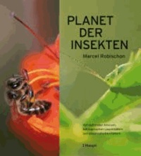 Planet der Insekten - Von duftenden Ameisen, betrügerischen Leuchtkäfern und gespenstischen Faltern.