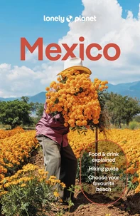 Mexico 19ed anglais
