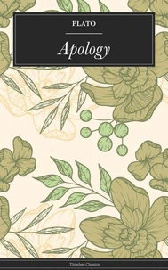 Apology