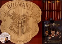 Coffret Soirée Culte Harry Potter
