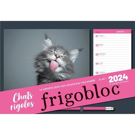 Frigobloc Chats rigolos de Play Bac - Grand Format - Livre - Decitre