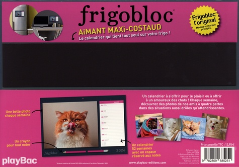 Livre : Frigobloc photos Chats rigolos 2024 (de janv. à déc. 2024) - Play  Bac - 9782809685251