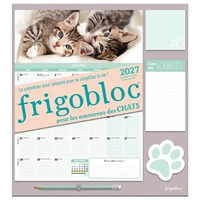 Frigobloc pour les amoureux des chats