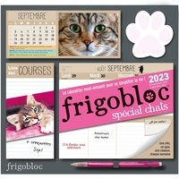  Play Bac - Frigobloc spécial chats - Le calendrier maxi-aimanté pour se simplifier la vie ! Avec un critérium.