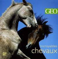  Play Bac - Incroyables chevaux.