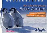 Mon calendrier passion Bébés Animaux