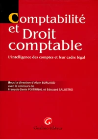 Comptabilite Et Droit Comptable. L'Intelligence Des Comptes Et Leur Cadre Legal