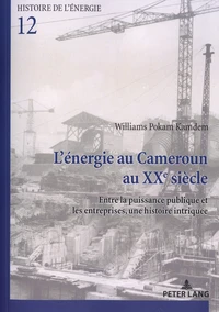 L'énergie au Cameroun au XXe siècle