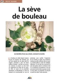 La sève de bouleau