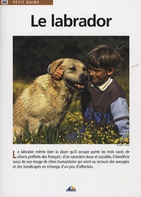 Le labrador