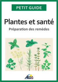 Recettes de santé