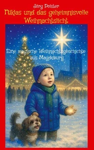 Niklas und das geheimnisvolle Weihnachtslicht