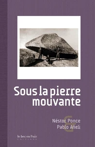 Sous la pierre mouvante