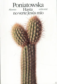 Hasta no verte Jesus mio