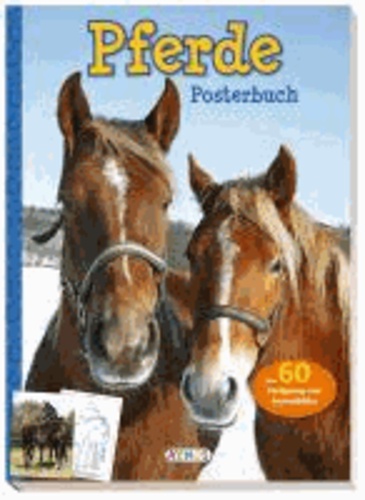 Posterbuch: Pferde - Über 60 Farbposter und Ausmalbilder.