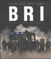 BRI, la Brigade de Recherche et d'Intervention