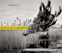 stèles de la camargue