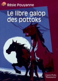 Le Libre Galop Des Pottoks