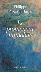 Le promeneur immobile