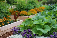 The Complete Guide to Growing Vegetables in Small Spaces