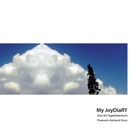 My JoyDiaRY. Eine Art Tagebilderbuch