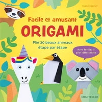 Origami facile et amusant