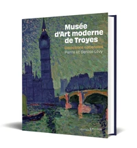 Musée d’Art moderne de Troyes - Collections nationales
Pierre et Denise Lévy