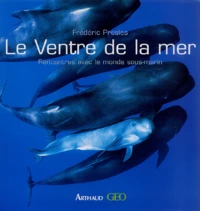 Le ventre de la mer