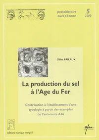La production du sel à l'Age du Fer
