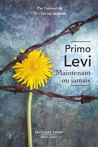 Maintenant ou jamais - Occasion