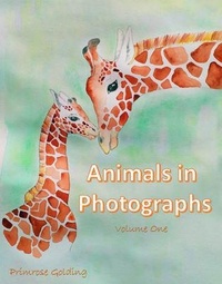  Primrose Golding - Animals in Photographs - Animals in Photographs, #1.