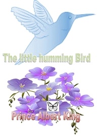  prince Albert King - The Little Humming Bird.