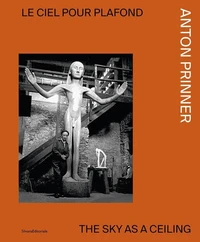 Le ciel pour plafond