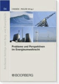 Probleme und Perspektiven im Energieumweltrecht - Dokumentation der XIII. Jahrestagung des Instituts für Berg- und Energierecht am 6. März 2009.