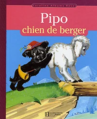 Pipo chien de berger