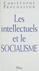 Les intellectuels et le socialisme, XIXe-XXe siècle