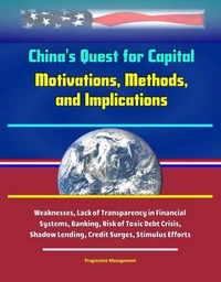 China's Quest for Capital: Motivations, Methods, and Implications - Weaknesses, Lack of Transparency in Financial Systems, Banking, Risk of Toxic Debt Crisis, Shadow Lending, Credit Surges, Stimulus E