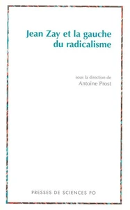 Jean Zay Et La Gauche Du Radicalisme