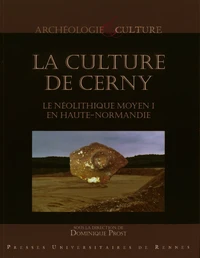 La culture de Cerny