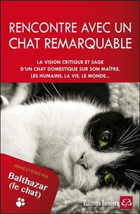 Rencontre avec un chat remarquable